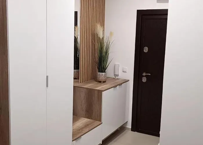 Zapadni Kej M&m * Pirot